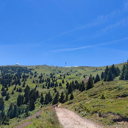 Ski&Spa Milmari L17 Kopaonik Eksteriør bilde
